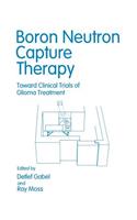 Boron Neutron Capture Therapy