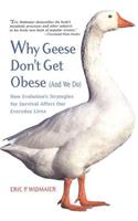Why Geese Don't Get Obese (and We Do)