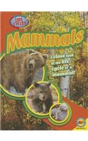 Mammals