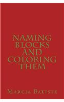Naming Blocks and Coloring Them