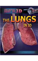 Lungs in 3D