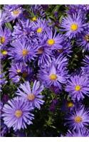 Blue Asters Flower Journal