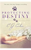 Protecting Destiny