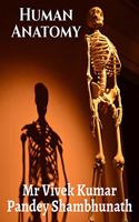 Human Anatomy