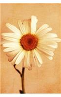 Journal: Daisy Floral Flower 6 x 9 Unlined Blank Empty Numbered 200 Pages