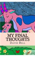 My Final Thoughts