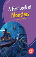 A First Look at Monsters: (Bumba Books — Fantastic Creatures)