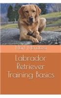 Labrador Retriever Training Basics