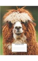 Composition Book 100 Sheets/200 Pages/8.5 X 11 In. College Ruled/ Brown Llama