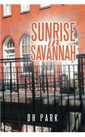 Sunrise in Savannah