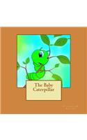 Baby Caterpillar
