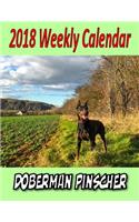 2018 Weekly Calendar Doberman Pinscher