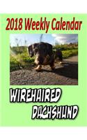 2018 Weekly Calendar Wirehaired Dachshund