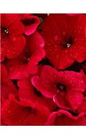 Red Petunias: Large Journal / Notebook 150 Lined Pages 8.5 x 11 Softcover