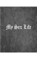 My Sex Life: An Offensive Cover Notebook, Lined, 8x10", 104 Pages