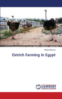 Ostrich Farming in Egypt