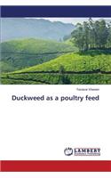 Duckweed as a poultry feed