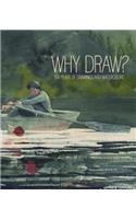 Why Draw?