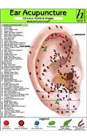 Ear Acupuncture