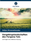 Vorgebirgslandschaften des Fergana-Tals