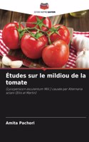 Études sur le mildiou de la tomate