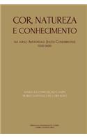 Cor, natureza e conhecimento: no curso Aristotélico Jesuíta conimbricense - 1592-1606(3 Ideia)