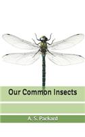 Our Common Insects
