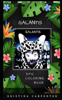 Galantis Epic Coloring Book