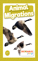 Animal Migrations