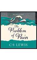 The Problem of Pain
