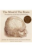 The Mind and the Brain