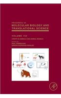 Crispr in Animals and Animal Models