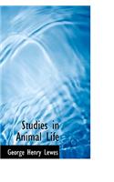 Studies in Animal Life