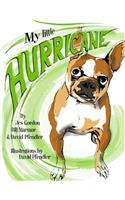 My Little Hurricane