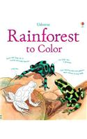 Rainforest to Color