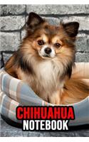 Chihuahua Notebook: Journal / Diary / Notepad, Chihuahua Lover Gifts (Lined, 6 x 9)