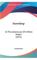 Snowdrop: Or The Adventures Of A White Rabbit (1873)