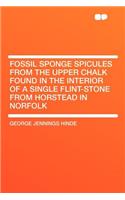 Fossil Sponge Spicules from the Upper Chalk Found in the Interior of a Single Flint-Stone from Horstead in Norfolk