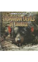 Tasmanian Devils in Danger