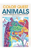 Color Quest Animals