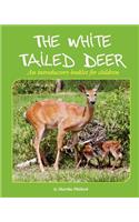The White Tailed Deer