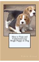 How to Train and Understand Your Beagle Puppy or Dog