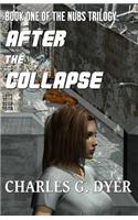 After the Collapse