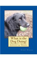What is the Dog Doing?