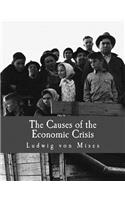 Causes of the Economic Crisis (Large Print Edition)