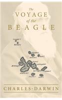 Voyage of the Beagle