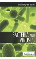 Bacteria and Viruses