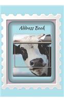 Address Book