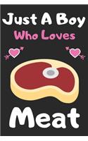 Just a boy who loves meat: A Super Cute meat notebook journal or dairy - meat lovers gift for boys - meat lovers Lined Notebook Journal (6"x 9")