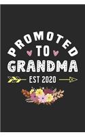 Promoted to Grandma Est 2020: 6x9 Pregnancy Announcement Journal for Writing Diary, Funny New Grandma Notebook, Awesome gift idea for grandmother